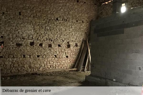 Débarras de grenier et cave-6